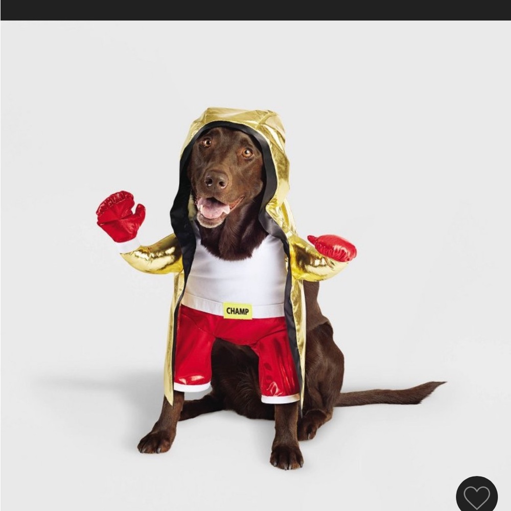 Boxing Champ Frontal Halloween Dog
Costume - XL - Boots & Barkley